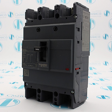 EZC250F3160 Выключатель автоматический Schneider Electric