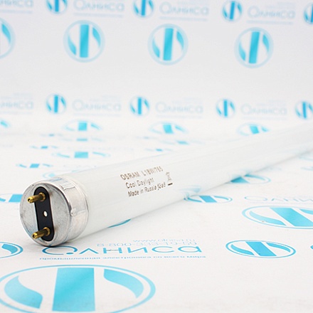 L18W/765 Лампа люминесцентная Osram