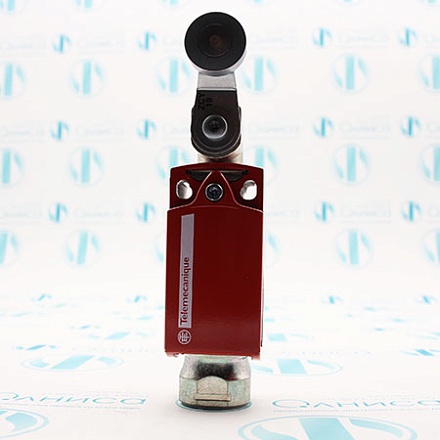 XCSD3919P20 Выключатель концевой Telemecanique/Schneider Electric