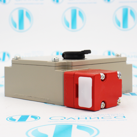 D4BL-2DRG Выключатель безопасности Omron