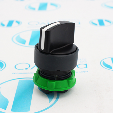 ZB5AD2 Головка для переключателя Schneider Electric