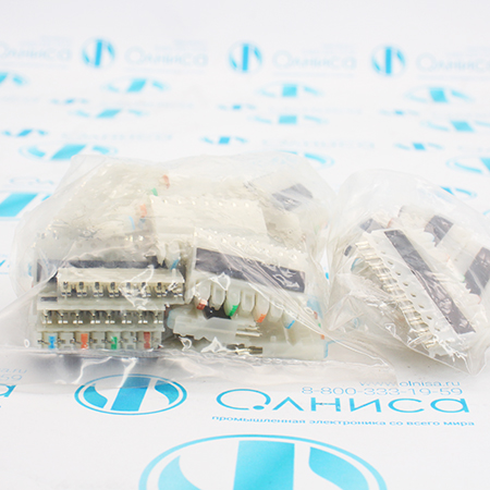 RWBK-100PR4 19 Панель коммутационная AESP