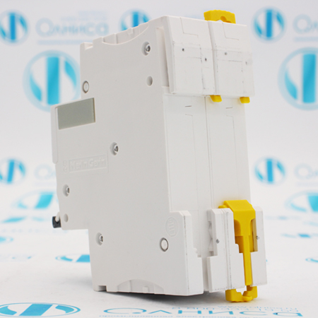 A9F78220 Выключатель автоматический Schneider Electric