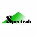 Spectrah Dynamics