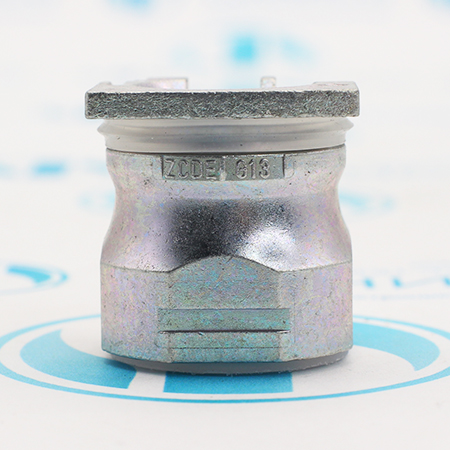 ZCDEG13 Сальник для ввода Schneider Electric