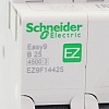 EZ9F14425 Выключатель автоматический Schneider Electric