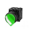 TS2011-1AB20 Переключатель TS2, короткая ручка с подсветкой, 2-х позиционная, без самовозврата, зел.