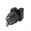 TS2020-2BM60 Переключатель TS2 утопленный с ключом, с метал.кольцом 3-х позиц., фиксируемый, ключ вы